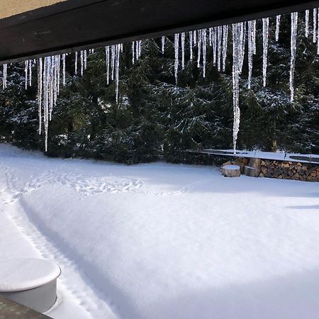 Apartman S Vyhledem Na Jezerni Stenu Železná Ruda Exteriör bild