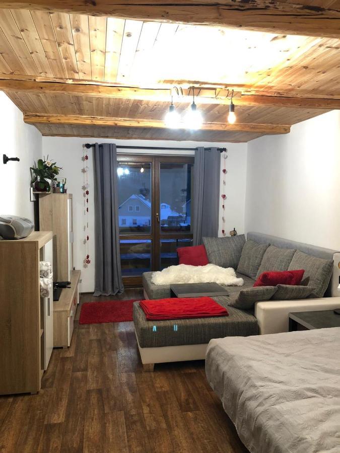 Apartman S Vyhledem Na Jezerni Stenu Železná Ruda Exteriör bild