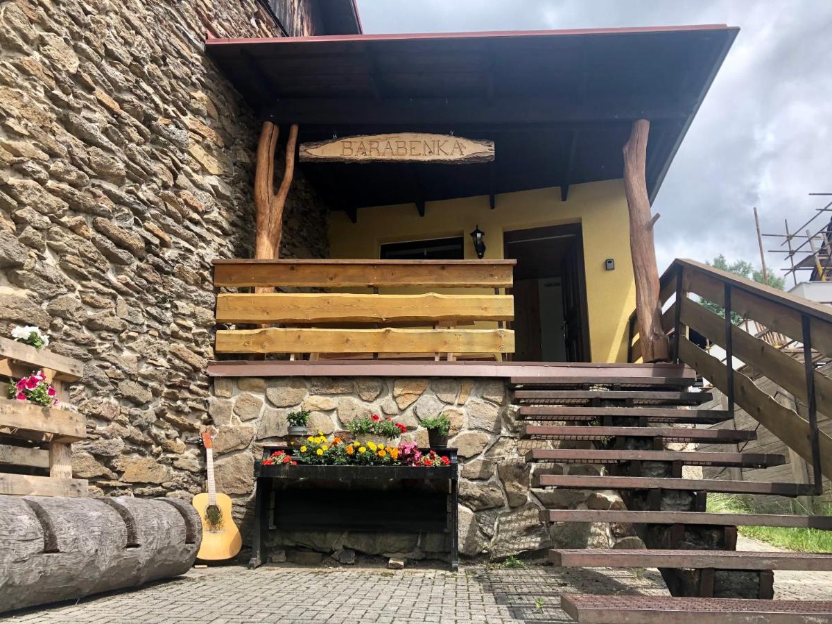 Apartman S Vyhledem Na Jezerni Stenu Železná Ruda Exteriör bild